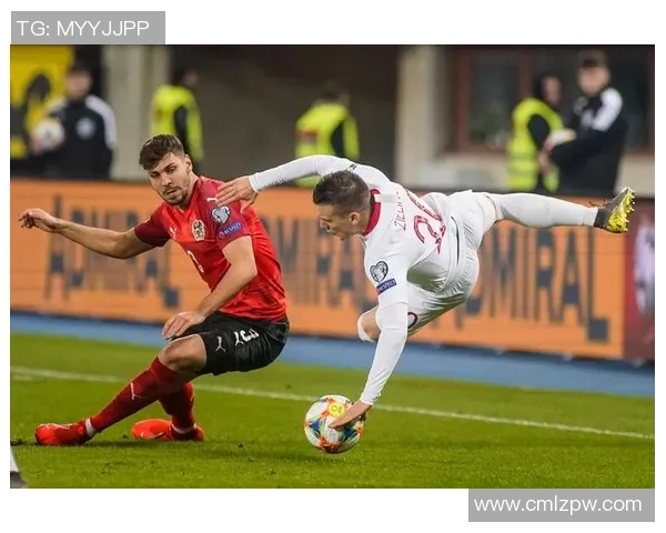 比利时与冰岛精彩对决视频回顾及精彩瞬间分析