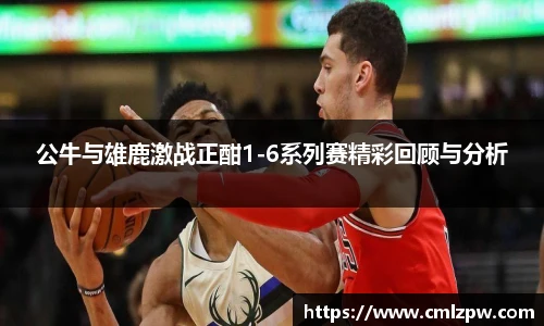 公牛与雄鹿激战正酣1-6系列赛精彩回顾与分析