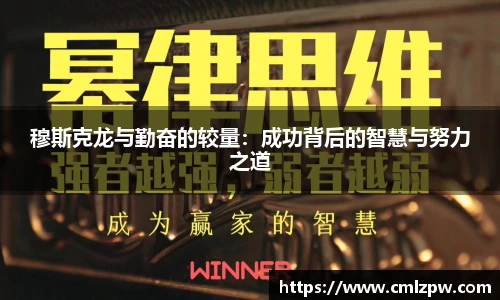 zoty中欧官网版